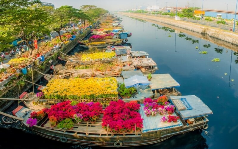 Binh Dong flower market shines brightly at the year's end