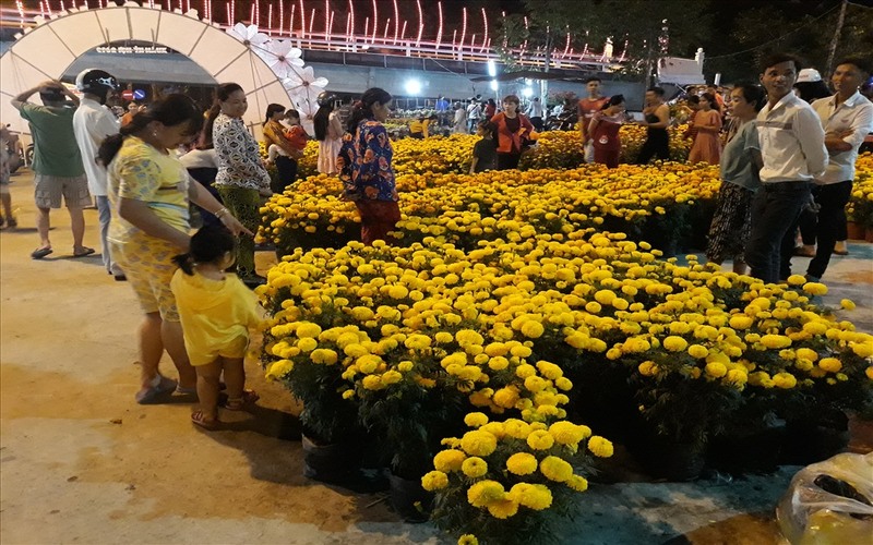 Hau Giang flower market offers the finest roses and chrysanthemums